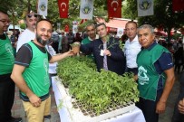 BAĞLAMA - Başkan Akın'dan Yerli Tohuma Tam Destek