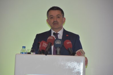 'Biyoçeşitlilik Yok Olursa Hayat Yok Olur'