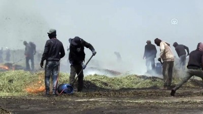 Filistin'de Ramazan Mutfağının Aranan Lezzeti 'Firik'