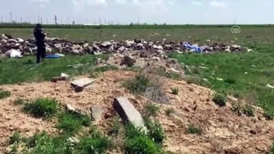 Konya'da Mantar Toplayan Kişi Arazide Ölü Bulundu