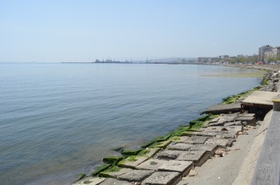 Marmara Denizindeki Turunculuk Büyük Oranda Normale Döndü