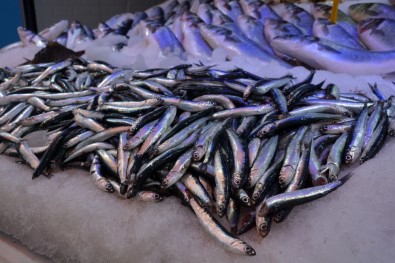 Mutlu Şehirde Balık Tezgahları Çarpan Ve Hamsi İle Süslendi