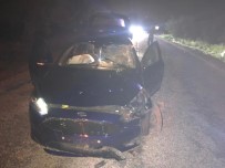 OCAKLAR - Otomobil Yola Çıkan İneğe Çarptı Açıklaması 1 Yaralı