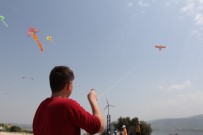 UÇURTMA ŞENLİĞİ - Rengarenk Uçurtmalar Gökyüzü İle Buluştu