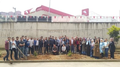 Rize'de Üniversite Öğrencileri Fidan Dikti