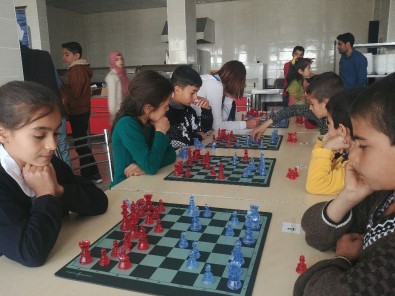 Sincik'te Satranç Turnuvası Düzenlendi