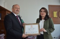 ORTAK AKIL - Başkan Tavlı Mazbatasını Aldı