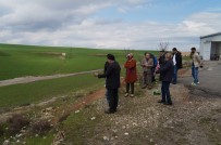 POLİS LOJMANLARI - Batman'da Toprak Kayması Tedirginliği