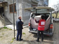 TÜRK KıZıLAYı - Kızılay, Cide'de Yangınzedeleri Yardımda Bulundu