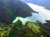 KREDİ DESTEĞİ - Samsun'da 3,5 Milyondan Fazla Fidan Üretilecek