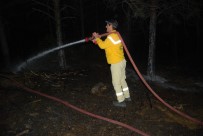 HALIÇ - Tekirdağ'da Ormanda Yangın