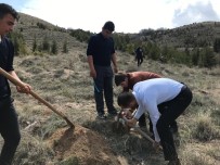 ÖLÜM YILDÖNÜMÜ - Ülkü Ocakları'dan Bin Fidan