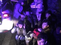 GÖÇMEN KAÇAKÇILIĞI - Çanakkale'de 42 Mülteci Yakalandı