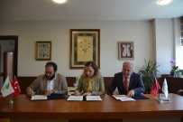 DÜZCE ÜNİVERSİTESİ - Düzce Üniversitesi Fındık Verimini Ve Kalitesini Artırmak İçin Çalışıyor