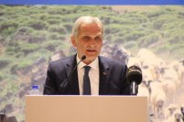 MÜMTAZ SINAN - Gıda Ve Kontrol Genel Müdürü Sinan Açıklaması 'Küpeleme Birliklere Devredilecek'