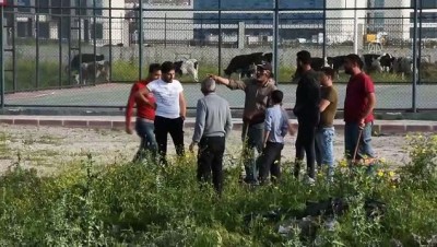 Hatay'da Su Kanalında Ceset Bulundu