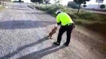 Kafası Bidona Sıkışan Köpeği Polis Kurtardı