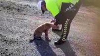 TRAFİK POLİSİ - Kafasına Geçirilen Bidonla Dolaşan Köpeği Polis Kurtardı