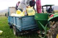 ATAKENT - Meralara Gübre Atıldı