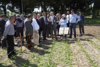 İLAÇ KULLANIMI - Üniversite Bünyesinde Uygulamalı İlk Tarım Festivali