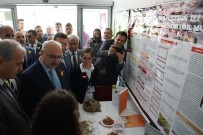 ÜSTÜN ZEKALI - Aydın'da Yetenekli Öğrenciler Projelerini Sergiledi