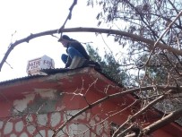 KARDEŞ OKUL - Köy Okuluna 'Kardeş Okul' Dokunuşu