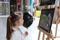 Nilüfer'den Sokak Hayvanlarına Yardım Eli