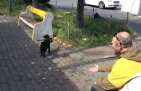 BEYOĞLU BELEDIYESI - Atatürk Havalimanı'nda Hayvanlar Da Taşınıyor