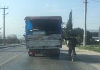 Canını Hiçe Saydı