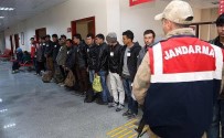 Erzincan'da 215 Kaçak Göçmen Yakalandı Haberi