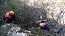 MAHSUR KALDI - Kayalıklarda Mahsur Kalan Keçileri AFAD Kurtardı