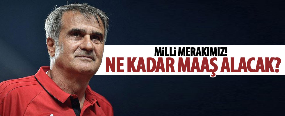 Şenol Güneş ne kadar para alacak?
