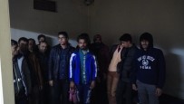 İNSAN TİCARETİ - Tekirdağ'da Kaçak Göçmen Operasyonu