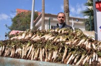 ORGANİK BESİN - Baharla Birlikte Kenger Görücüye Çıktı