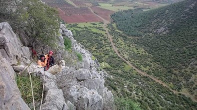 Dağda Mahsur Kalan Keçileri AFAD Kurtardı