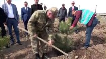 DENETİMLİ SERBESTLİK - Erciş'te 'Adalet Ormanı' Oluşturuldu