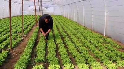 Aldığı Destekle Seralarını Büyüttü