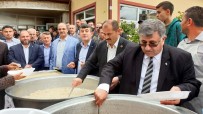 EMİR OSMAN BULGURLU - Belediye Başkanı Kendi Elleriyle Halka Yemek Dağıttı