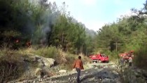 ŞİFALI SU - Hatay'da Orman Yangını