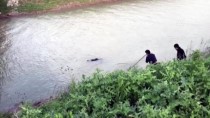 Hatay'da Sulama Kanalında Ceset Bulundu