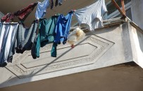 RİZE BELEDİYESİ - Rize İtfaiyesinden Tavuk Kurtarma Operasyonu