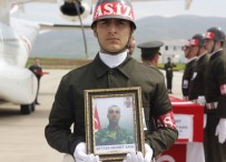 TUGAY KOMUTANI - Şehit Piyade Er Mehmet Kaya Siirt'te Toprağa Verildi