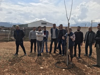 AÜ Seracılık Bölümü Öğrencileri Ceviz Ve Mantar Üretimini Yerinde Gördü