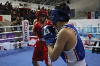 Genç Erkekler Türkiye Ferdi Boks Şampiyonası Mersin'de Başladı