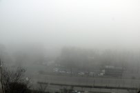 Göz Gözü Görmedi