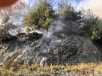 KUZUCULU - Hatay'daki Orman Yangınında 2 Hektarlık Alan Zarar Gördü