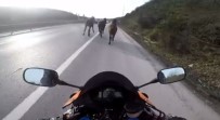 (Özel) Şile Yolunda Motosikletli Asfalt Kovboyları Kamerada Haberi