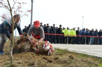 OSMAN KAYMAK - Polis Haftası Kutlamasında Polisler Kurban Kesti