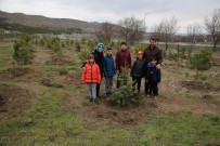 KOMANDO - Yüzüncü Yılda 100 Milyon Fidan