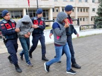YERKESIK - Akbük'te Ağaçları Kesen Şahıslar Tutuklandı